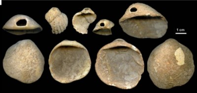 Figure 1: Neanderthal ornamentation from Cueva de los Aviones (Hoffmann et al. (2018a).